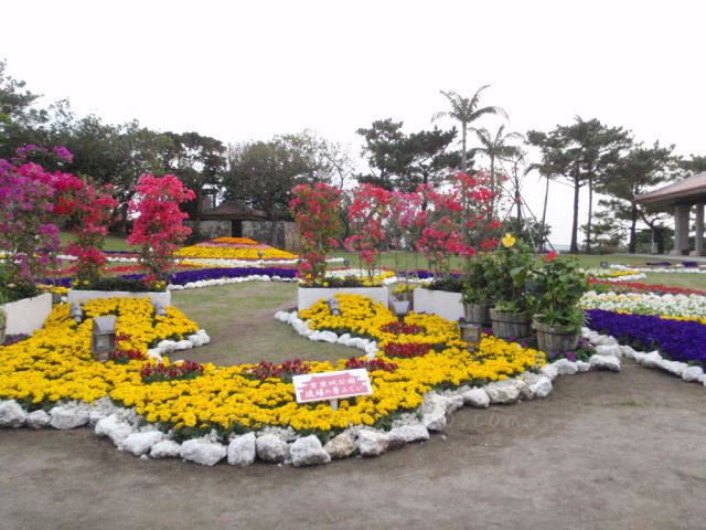 首里城公園のお花まつり