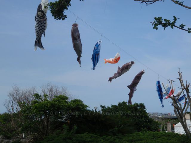 沖縄海洋博公園のジンベイのぼり