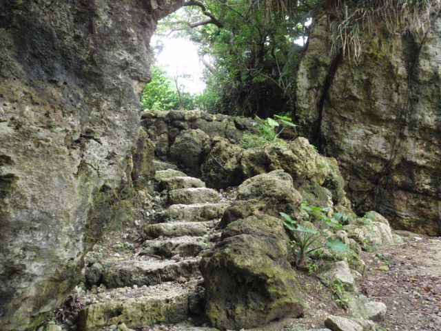 ヤハラヅカサに石階段