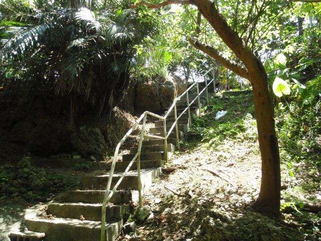 屋良ムルチ入り口の階段