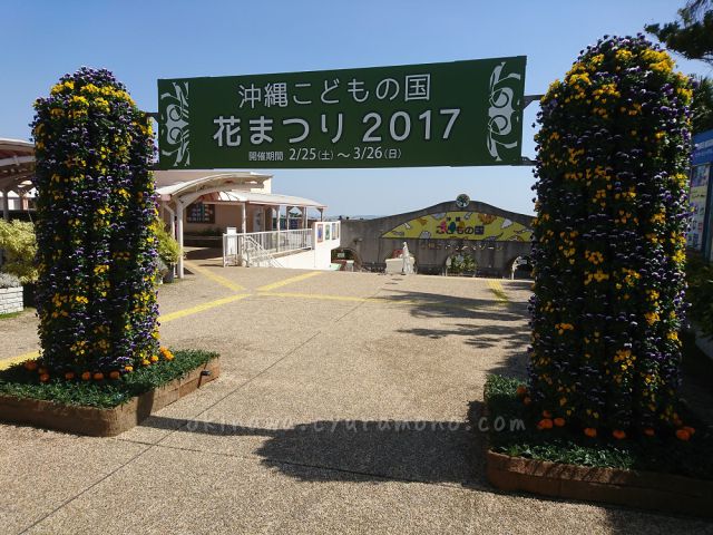 沖縄こどもの国花まつり